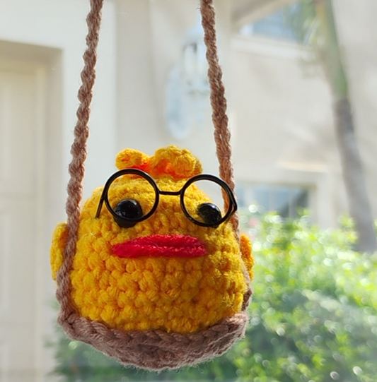 Mr. Ducky on a Swing!!